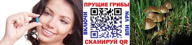 Галлюциногенные грибы Psilocybine cubensis  Тырныауз 
